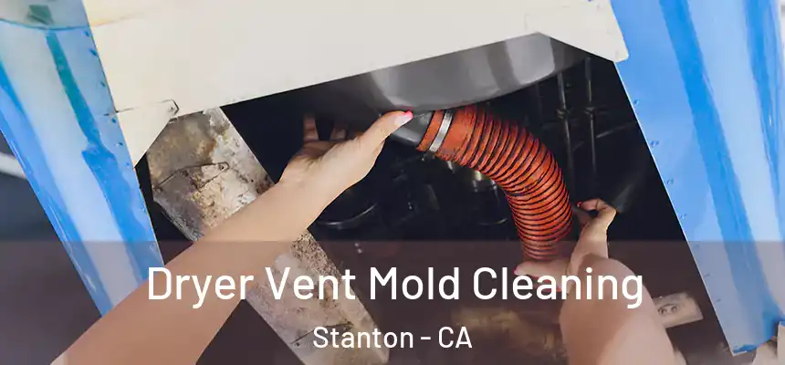  Dryer Vent Mold Cleaning Stanton - CA