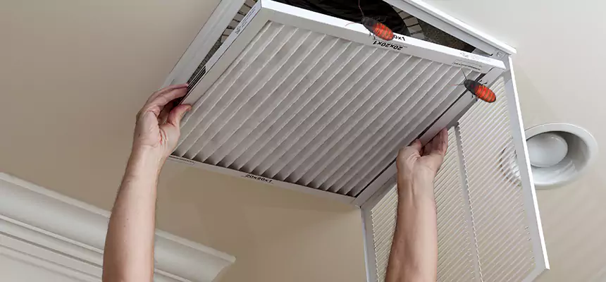 Preventive Cockroach-Proofing for Ducts in Stanton