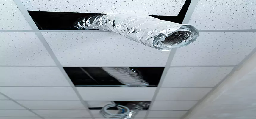 Affordable HVAC Sanitizing After Pest Removal in Stanton