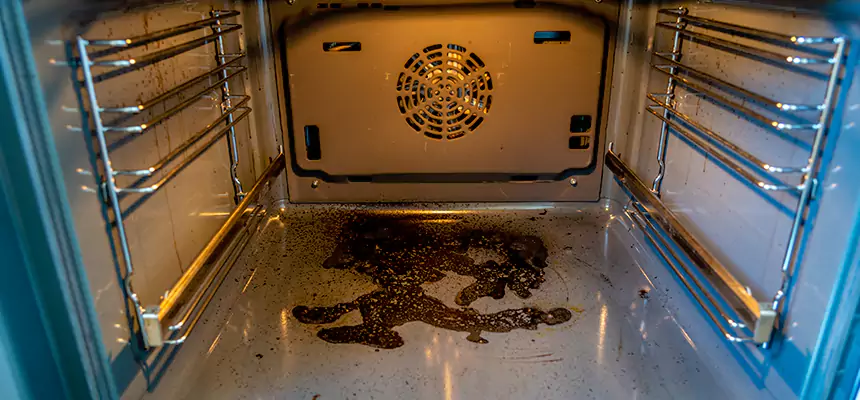 Our Dryer Vent Mold Cleaning Services in Stanton, CA