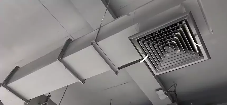 Our Pest Removal From Ducts Services in Stanton, CA