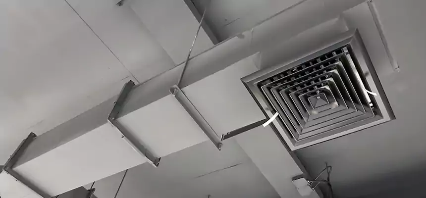 Our Rodent Droppings In Vents Services in Stanton, CA