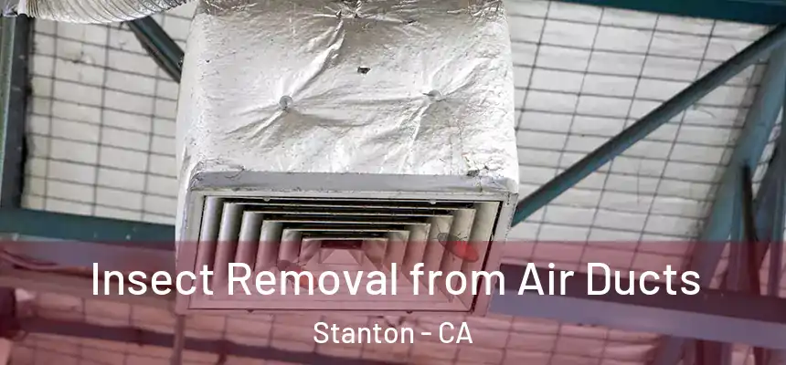  Insect Removal from Air Ducts Stanton - CA