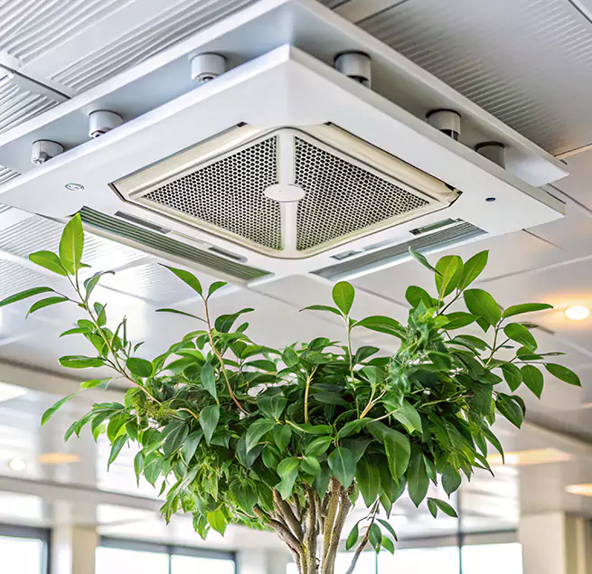 Why Homeowners & Businesses Trust Us in Stanton, CA?